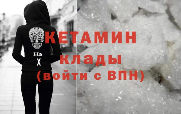 стаф Ельня