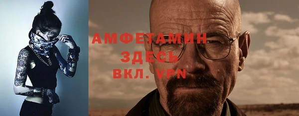 стафф Елизово