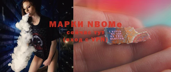 стаф Ельня