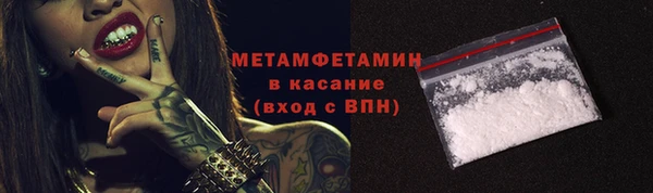 стаф Ельня