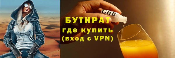 стаф Ельня