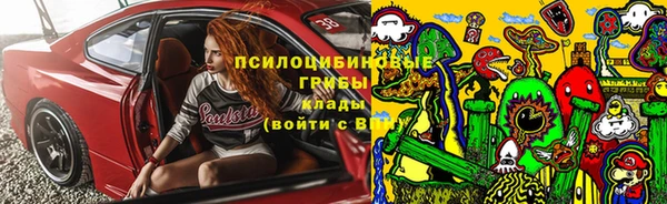 гашик Зеленодольск