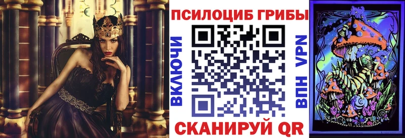 Псилоцибиновые грибы Magic Shrooms  где можно купить наркотик  Лыткарино 