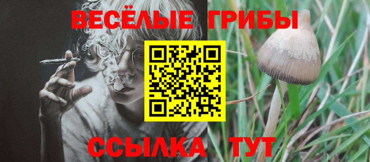 Галлюциногенные грибы ЛСД Лыткарино