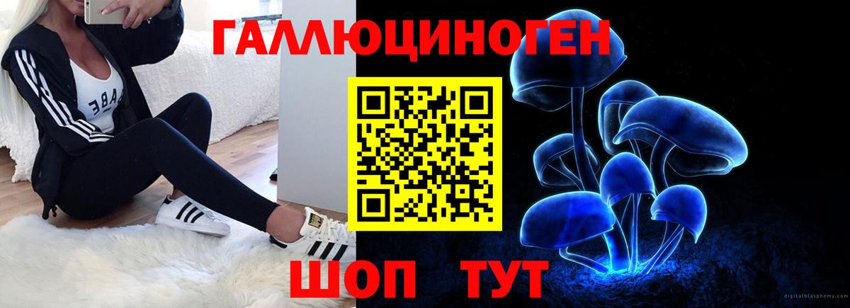 Галлюциногенные грибы GOLDEN TEACHER  Галлюциногенные грибы прущие грибы  Лыткарино  Вход с VPN 